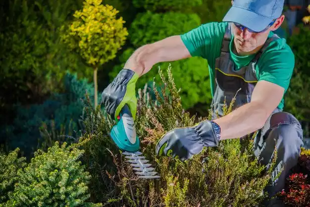 landscaping services Scooba